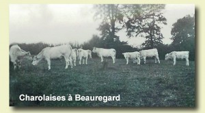 beauregard autrefois (12)