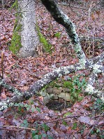 Font des Arpents