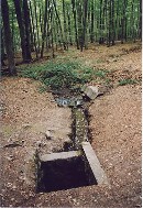 Font de la Goutte d'Argent