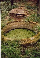 Font du Prage